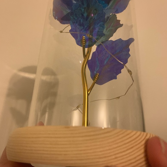 Rose - Picture 9 of 10